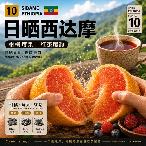发现埃塞俄比亚西达摩454g咖啡粉