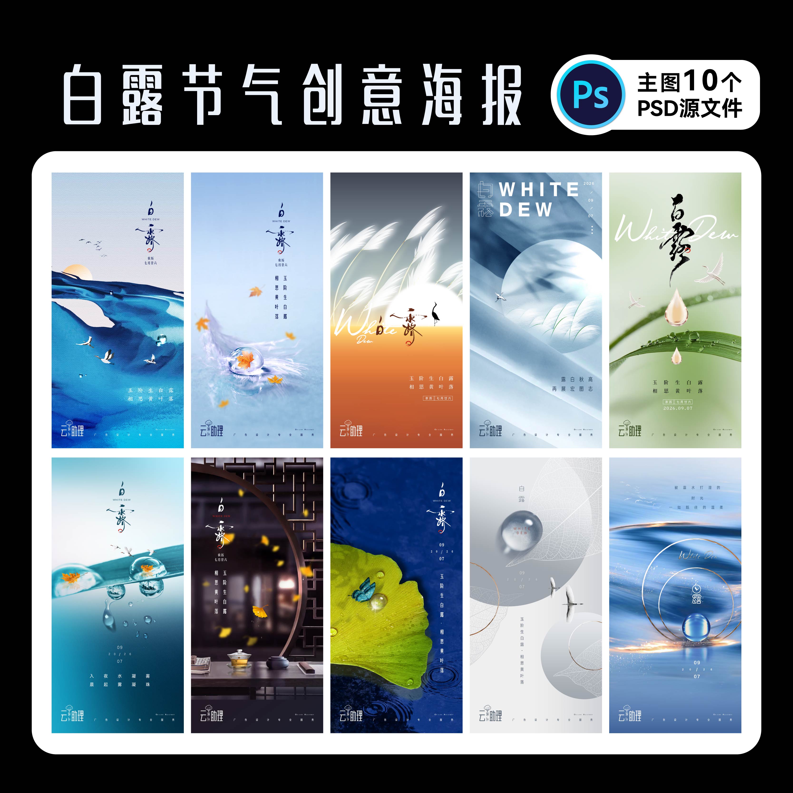 白露海报秋天节气PSD源文件素材