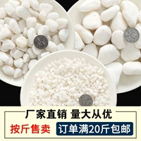 Литтл Белый Каменный Сочный двор двора