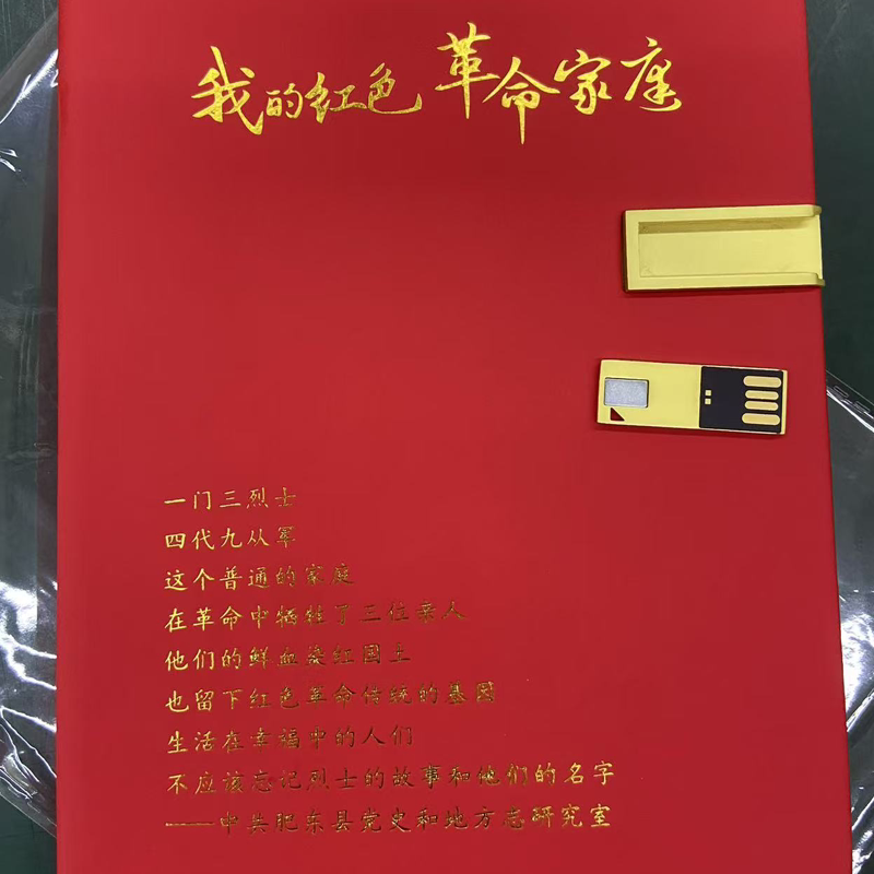 批量定制笔记本u盘高档金色可插商务记事本上的超薄长条形u盘64g