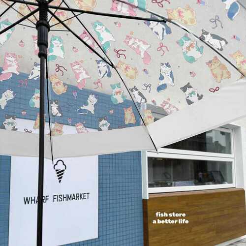 透明伞长柄女生可爱自动开伞