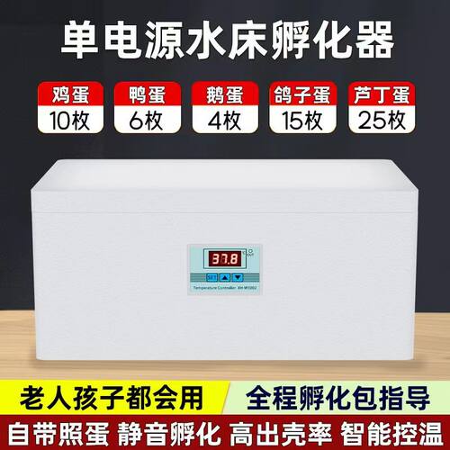 种蛋可孵化小黄鸡蛋散养土鸡蛋笨鸡蛋柴鸡蛋鸭鹅受精蛋草鸡孵化器