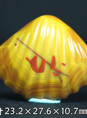 北票战国红贝壳雕件吊坠毛衣链