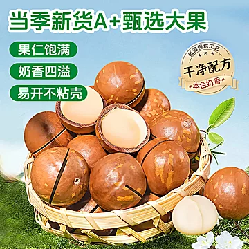 省心推！奶香味坚果夏威夷果500g