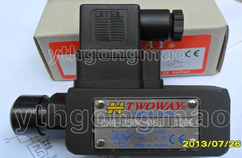 台湾台肯压力继电器DNB-250K-06i，TWOWAY台肯压力开关