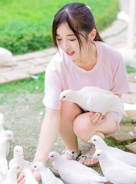 喂鸽子广场放飞亲子互动观赏