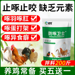 兽用防啄卫士猪打架鸡鸭鸽子鹦鹉啄肛啄羽毛啄蛋止啄止咬灵异食癖