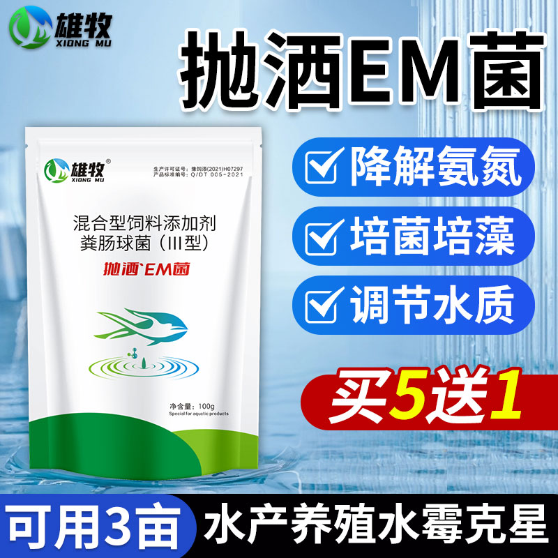 em菌水产养殖专用养鱼雄浓缩芽孢杆菌乳酸菌池塘鱼塘调节净化水质