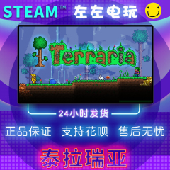 STEAM PC正版 Terraria 泰拉瑞亚 国区礼物 简体中文 联机游戏