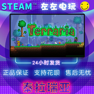 STEAM PC正版 Terraria 泰拉瑞亚 国区礼物 简体中文 联机游戏