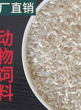 黄米色选米少杂质喂动物鸡鸭鹅