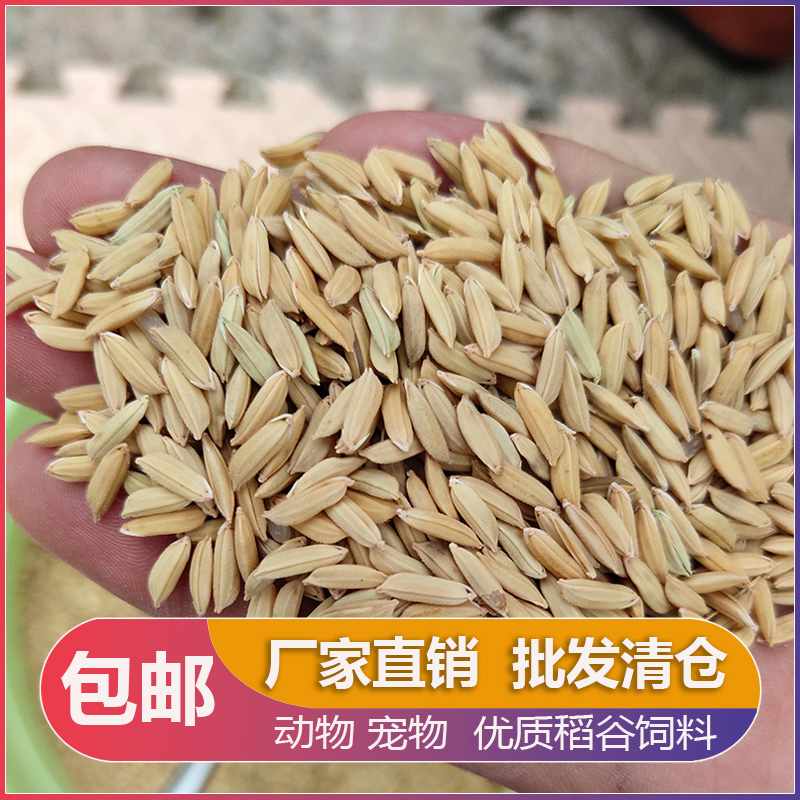 饲料原粮喂鸡鸭鹅鸽子鸟谷子批发