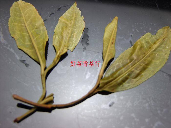 2018年早春 云南勐库冰岛 古树纯料 普洱茶 生茶 散茶 口感霸气