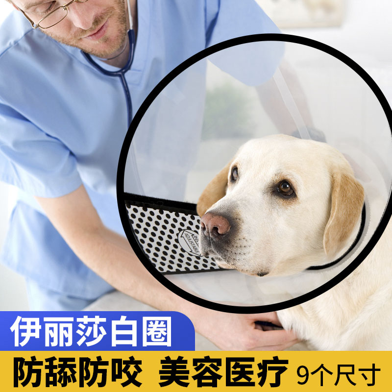 宠物狗狗伊丽莎白圈防舔防咬脖套