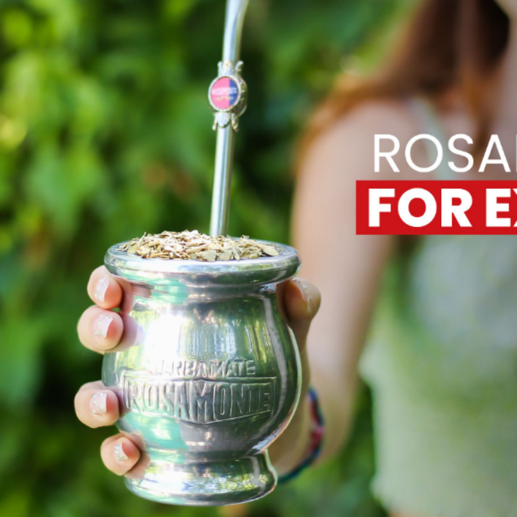 马黛茶专用杯阿根廷原装进口木胚