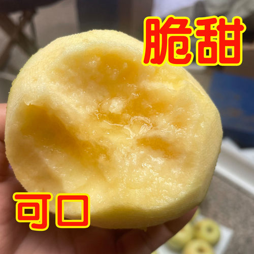 现摘现发正宗山东维纳斯黄金苹果新鲜水果脆甜多汁非富士奶油苹果