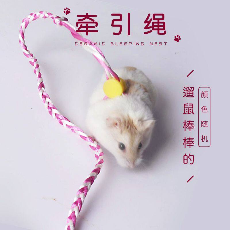 宠物仓鼠牵引绳带铃铛 荷兰猪松鼠兔子牵引绳1.4米牵引绳用品