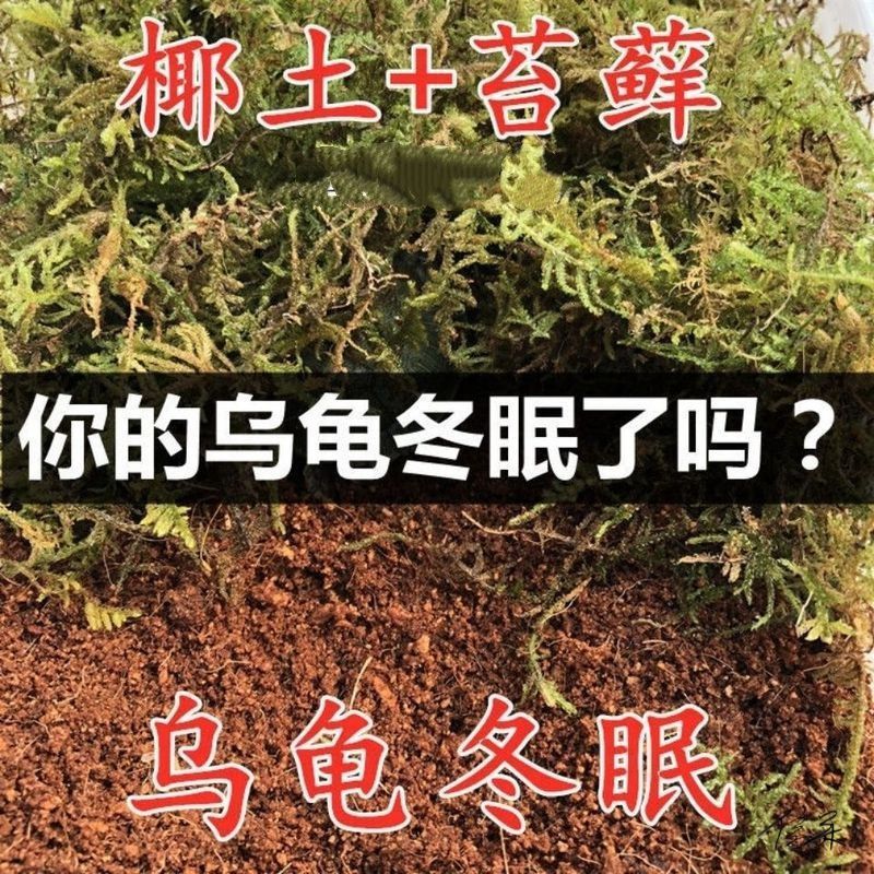 龟冬眠材料种菜仓鼠椰土免泡型垫爬宠垫料