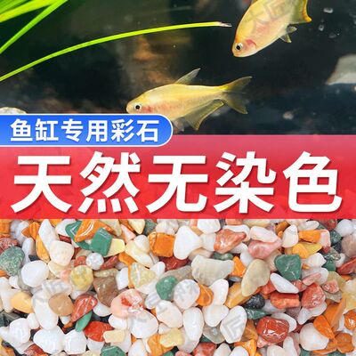 天然五彩石雨花石鱼缸造铺底盆栽水培多肉植物铺面装饰小石头