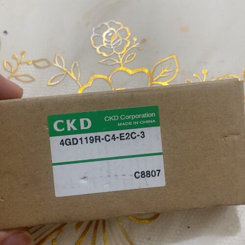 议价【正品原装】D电磁阀4GD119R-C4-E2C-3，全