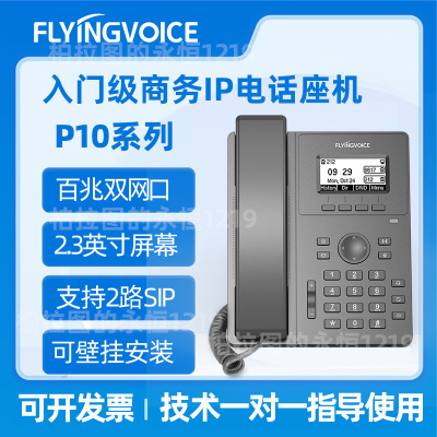 FLYINGVOICE网络IP电话机