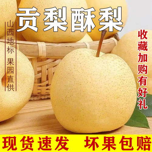 新鲜非贡梨价格 新鲜非贡梨图片 星期三