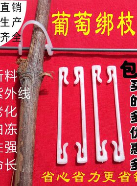 省工省钱的果树枝条绑缚塑料卡子