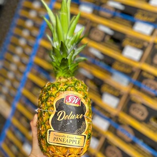 菲律宾进口sw蜂蜜凤梨黑钻凤梨巨无霸大果树上熟 上海市区包闪送