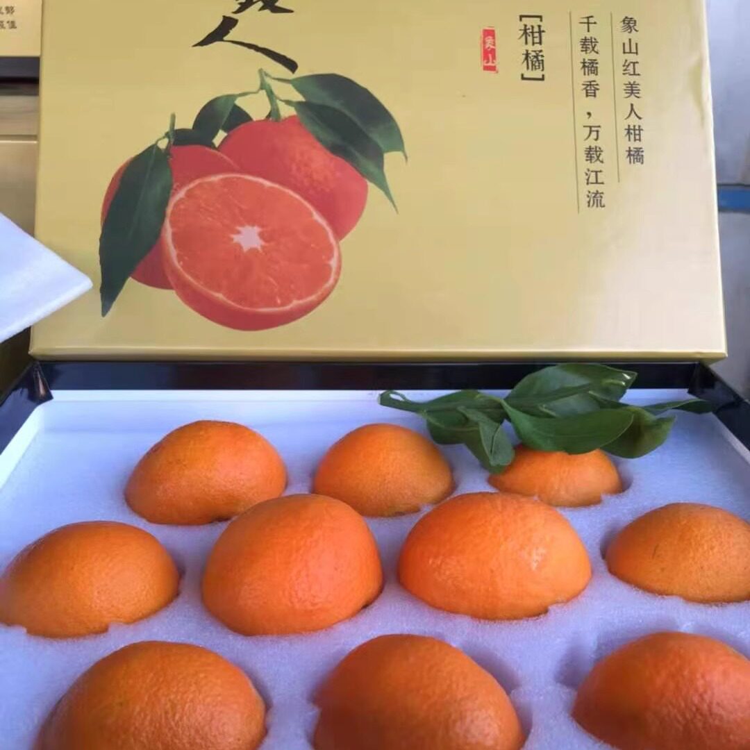 正宗象山红美人黄特大果2盒礼盒装爱媛28号薄皮甜鲜  上海包闪送