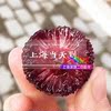 现货云南东魁杨梅5斤礼盒装 新鲜杨梅酸甜可口孕妇水果