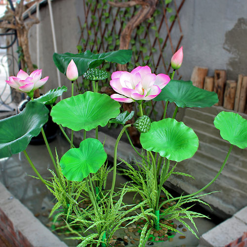 仿真荷花仿真花塑料花假荷叶水池装饰园林景观中国风造景绿植花艺