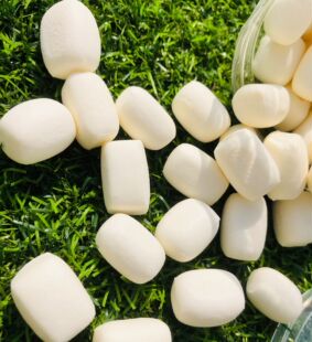 花花家奶馒头仓鼠磨牙零食金丝熊躺手零食奶馒头通心粉鼠磨牙零食