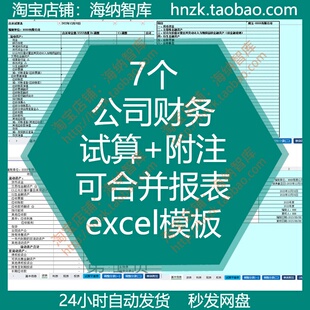 公司财务试算附注可合并报表excel模板单体现金流量表会计资产