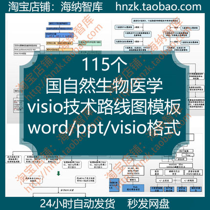 国自然生物医学visio技术路线图模板流程图关系图组织图可编辑ppt