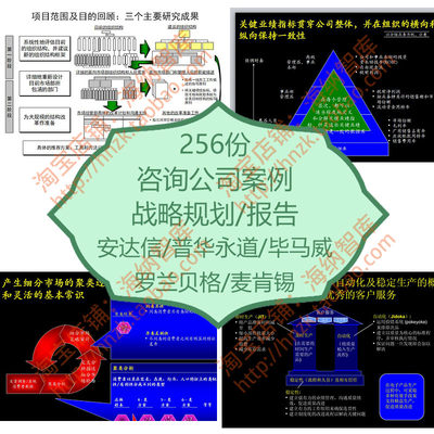 咨询公司规划报告战略案例安达信北大纵横毕马威麦肯锡普华永道