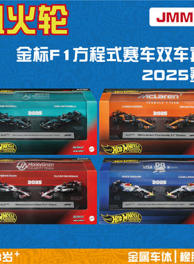 风火轮 JMM89金标F1双车套装 奔驰 迈凯伦 小红牛 哈斯 hotwheels