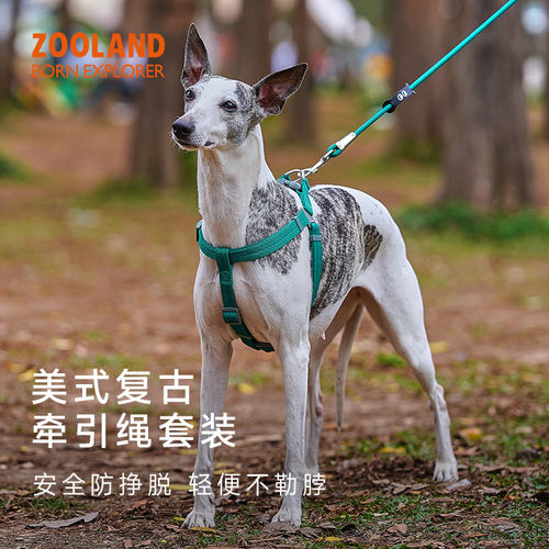 zooland狗胸背牵引绳狗胸背套装