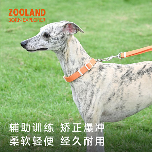 zoolandP绳项圈防爆冲颈圈狗链子