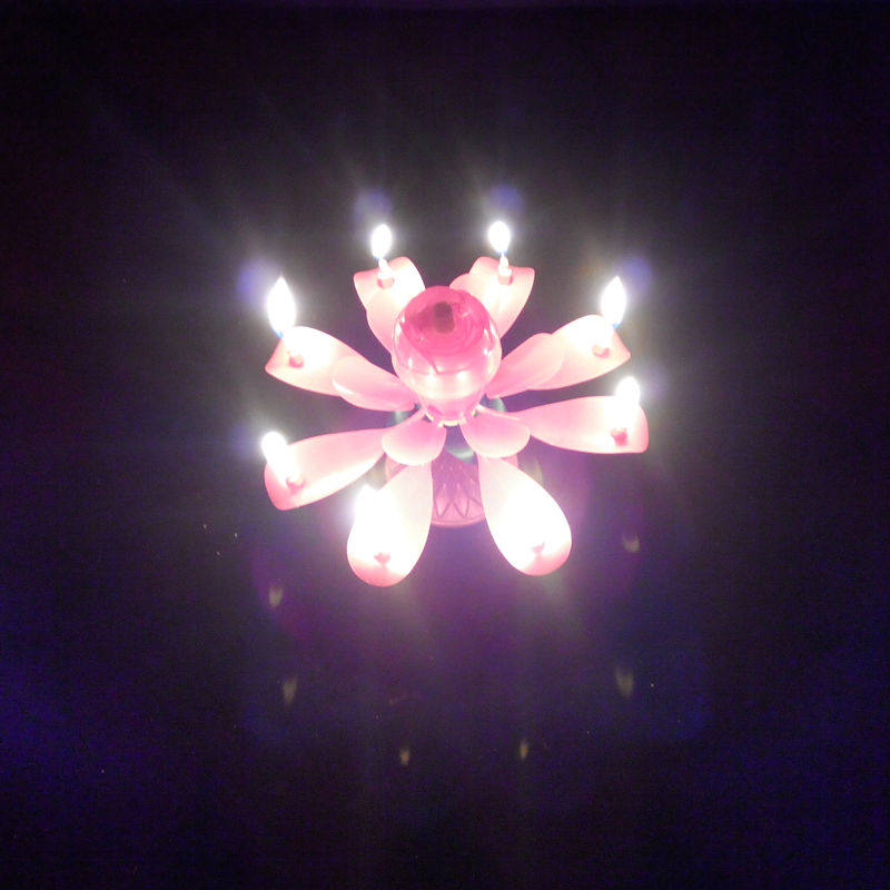 Bougie - Ref 2490520 Image 5