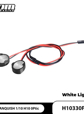 GPM VANQUISH 1/10 H10 OPtic 四驱越野车 前防撞专用白色灯1条