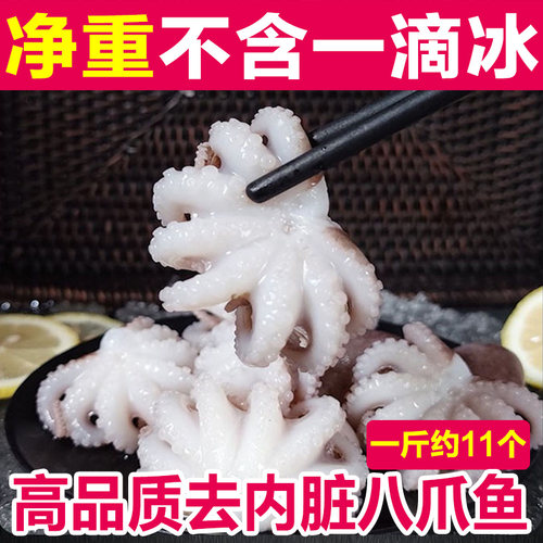 高品质八爪鱼鱼不包冰吃的实在