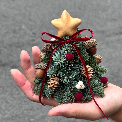 进口诺贝松圣诞树车挂成品