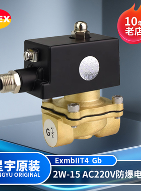 星宇电子原装正品2W160-15AC220V常闭式二位二通bIICT4防爆电磁阀