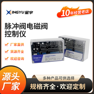 星宇RFS 20ALDL原装正品编程除尘防爆脉冲阀控制仪AC220V DC24V