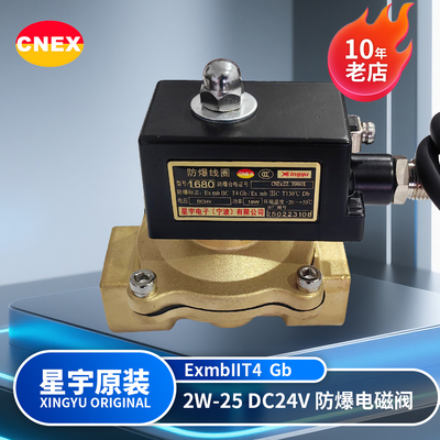 星宇电子原装正品 2W250-251寸DC24V 二位二通常闭式防爆电磁阀。
