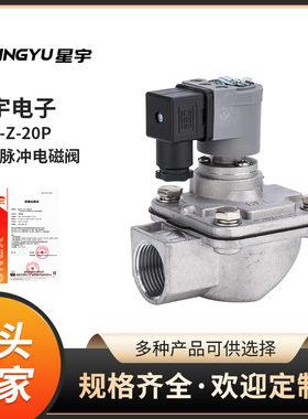 星宇原装正品RMF-Z-20P 脉冲电磁阀 AC220VDC24V电磁阀线圈