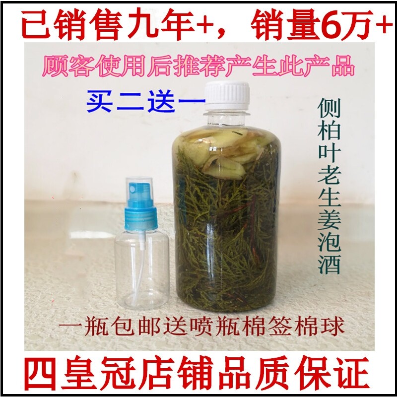 新鲜野生侧柏叶泡酒密护发水白发酒精泡侧柏叶老生姜脂溢性头发