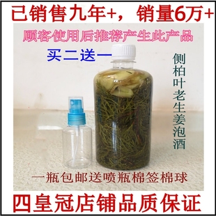 新鲜野生侧柏叶泡酒密护发水白发酒精泡侧柏叶老生姜脂溢性头发