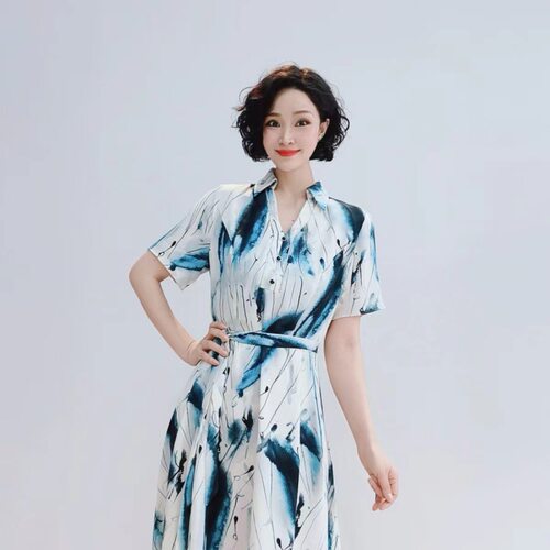 H115 夏季时尚V领印花雪纺收腰显瘦高端气质连衣裙D14