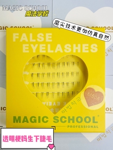 分段妈生下睫毛M506自然仿真新手初学者透明梗百搭款 懒人三部曲